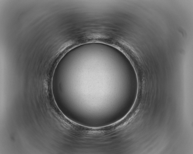 X0000111191305200907081248