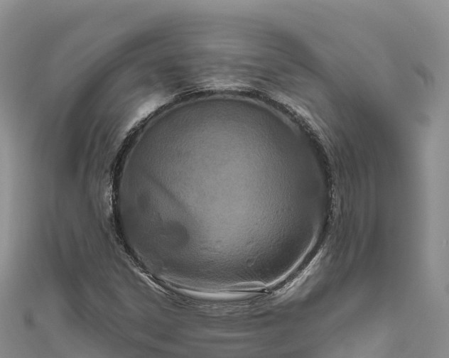 X0000111191306200907081248