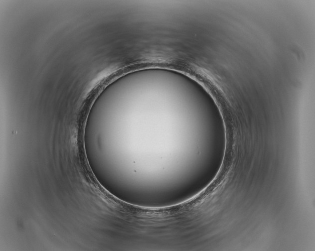 X0000111191307200907081248