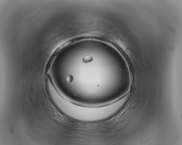 X0000111191308200907081248