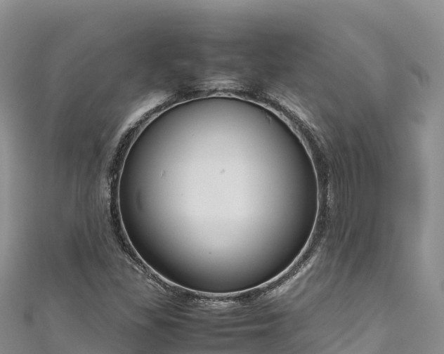 X0000111191309200907081248