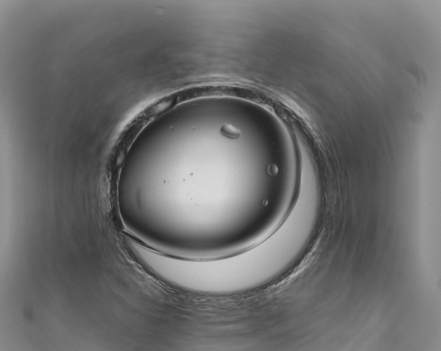 X0000111191310200907081248