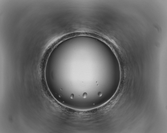 X0000111191311200907081248