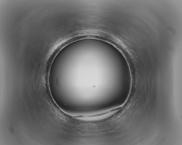 X0000111191312200907081248