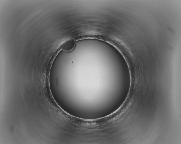 X0000111191313200907081248