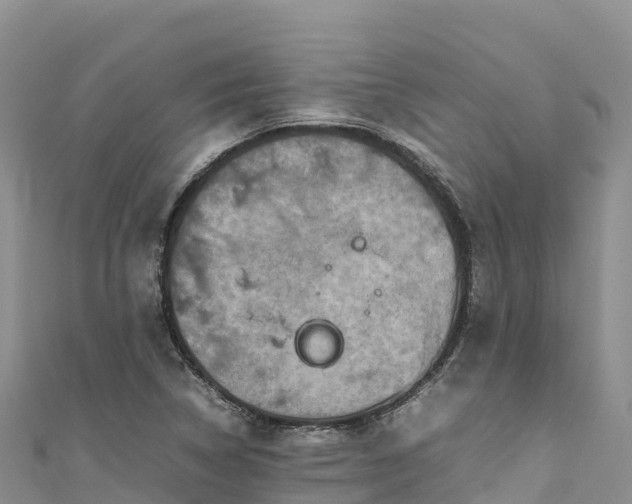 X0000111191314200907081248