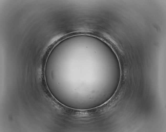 X0000111191315200907081248