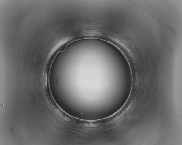 X0000111191317200907081248