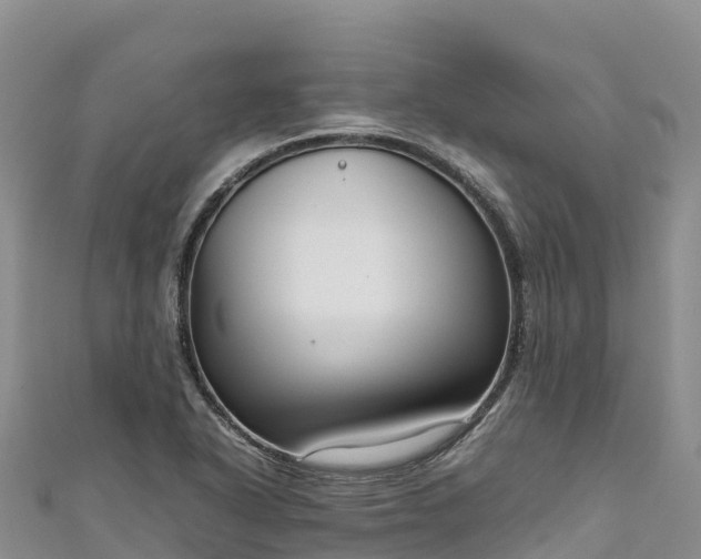 X0000111191318200907081248