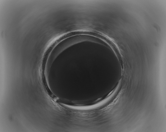 X0000111191319200907081248