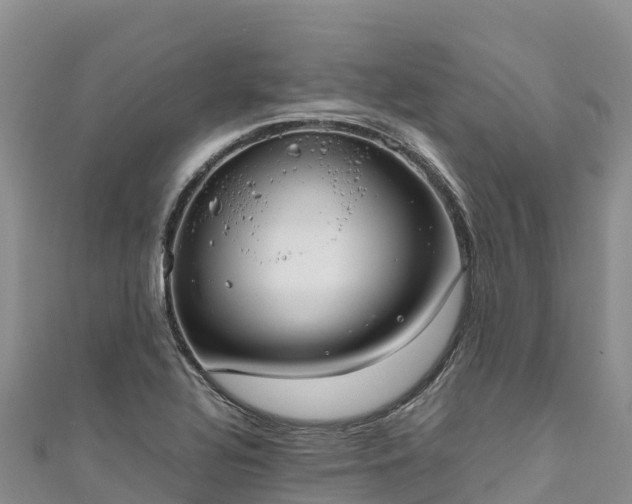 X0000111191320200907081248