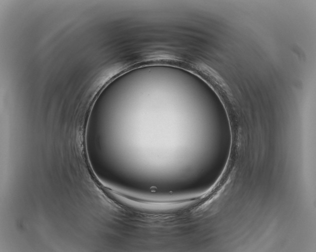 X0000111191321200907081248