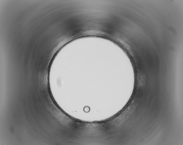 X0000111191322200907081248