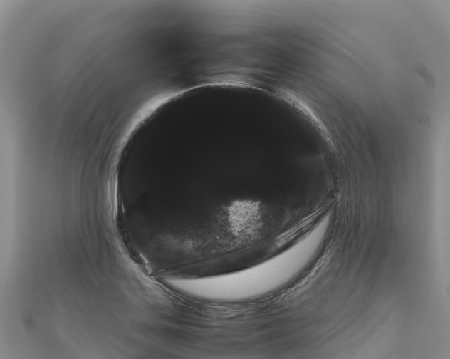 X0000111191323200907081248