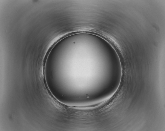 X0000111191324200907081248