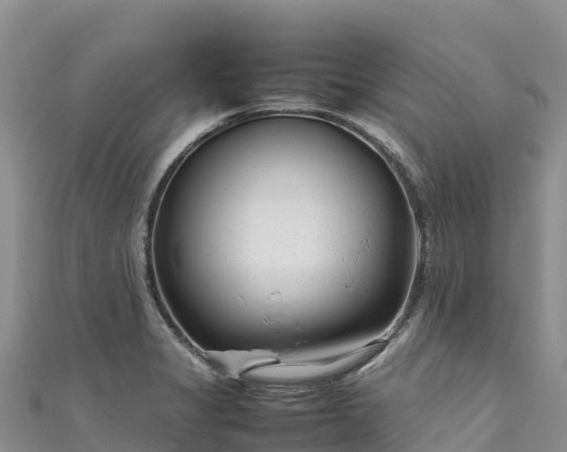 X0000111191325200907081248