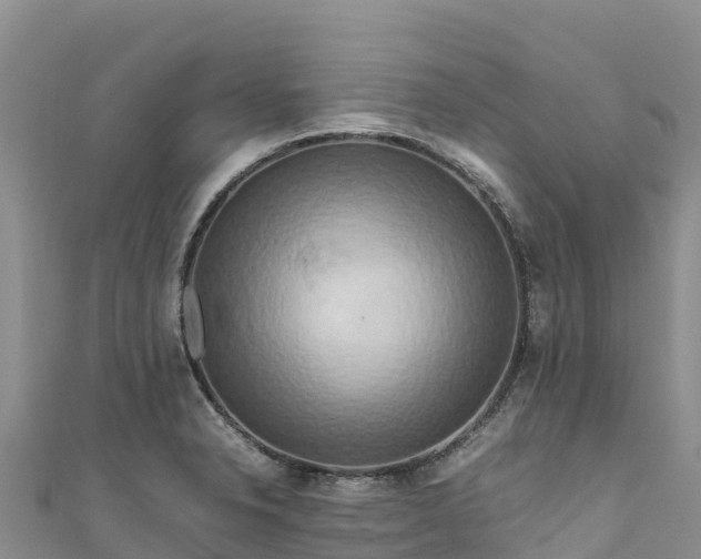 X0000111191326200907081248