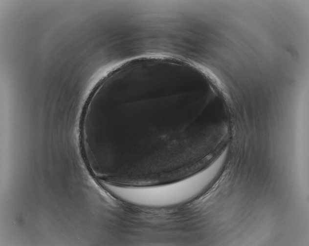 X0000111191327200907081248