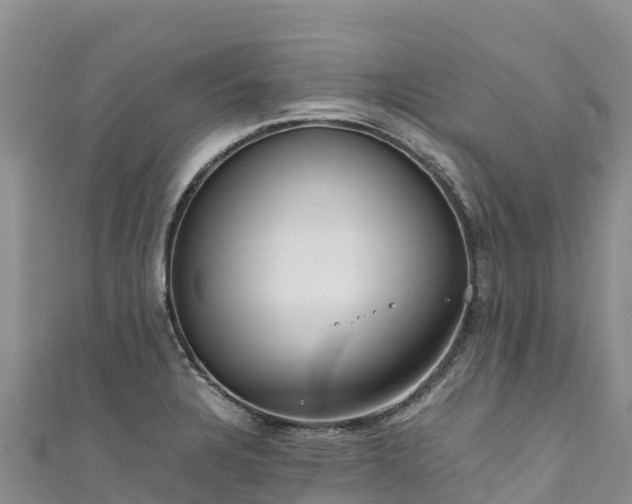 X0000111191328200907081248