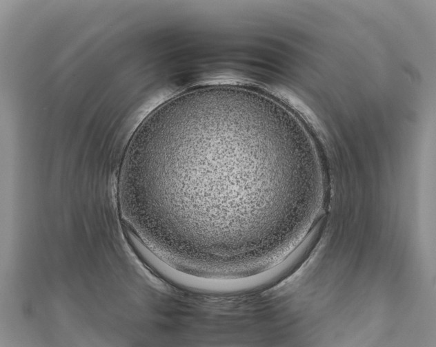 X0000111191329200907081248