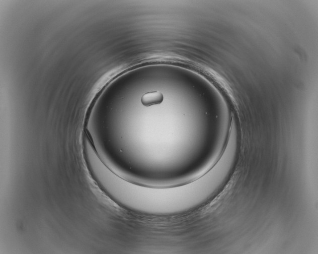 X0000111191330200907081248