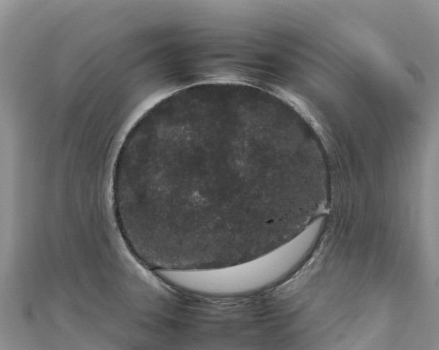 X0000111191331200907081248