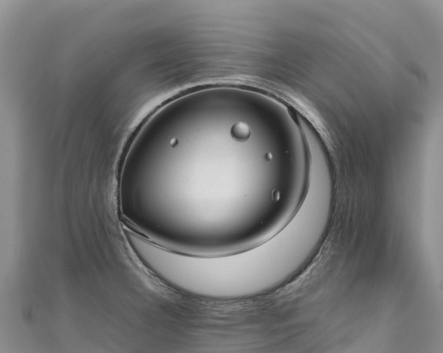 X0000111191332200907081248