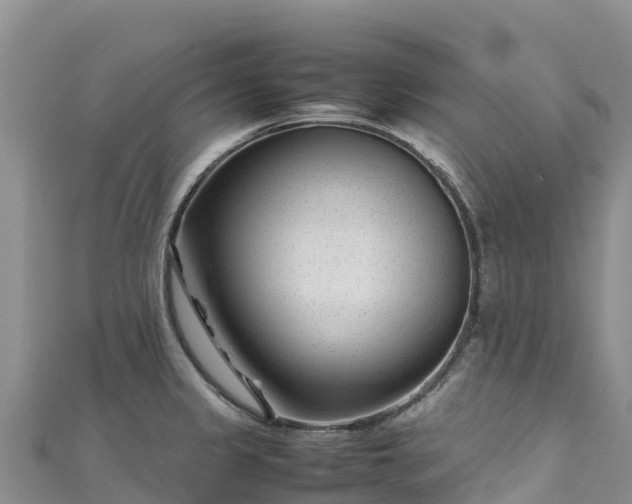 X0000111191333200907081248