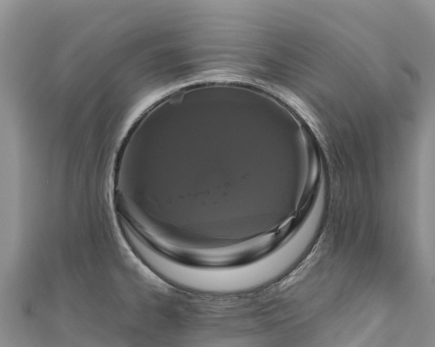 X0000111191334200907081248