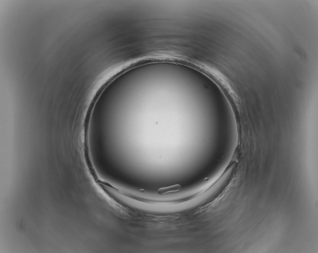 X0000111191335200907081248