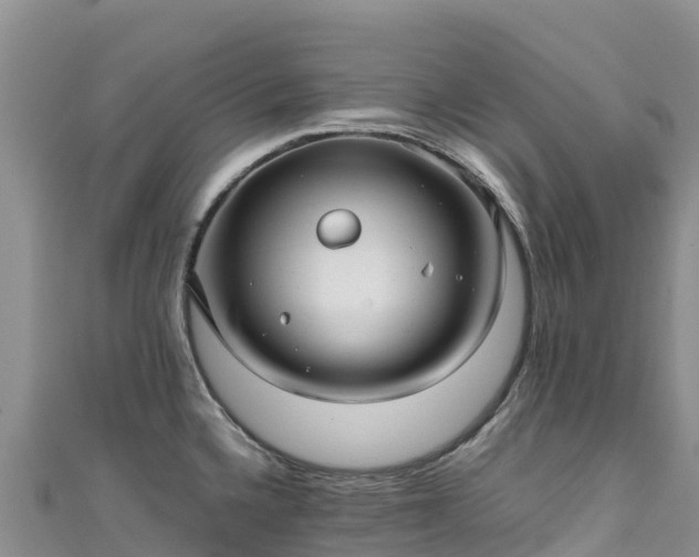 X0000111191336200907081248