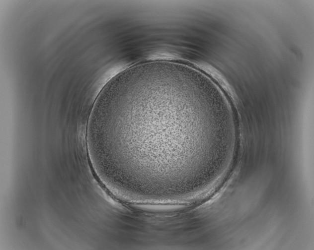 X0000111191337200907081248