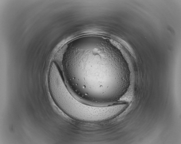 X0000111191338200907081248