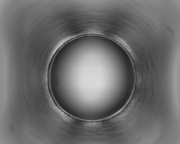 X0000111191339200907081248