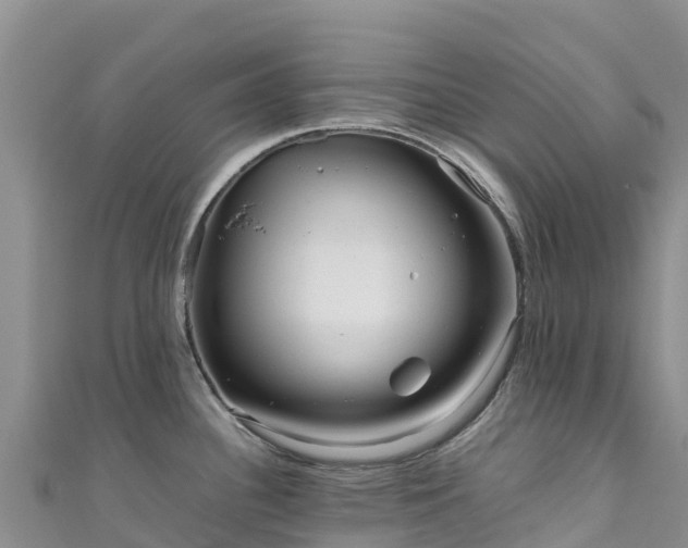 X0000111191340200907081248