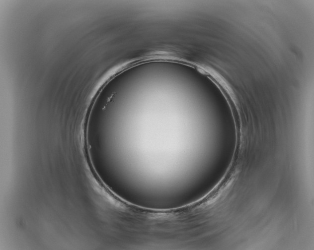 X0000111191341200907081248