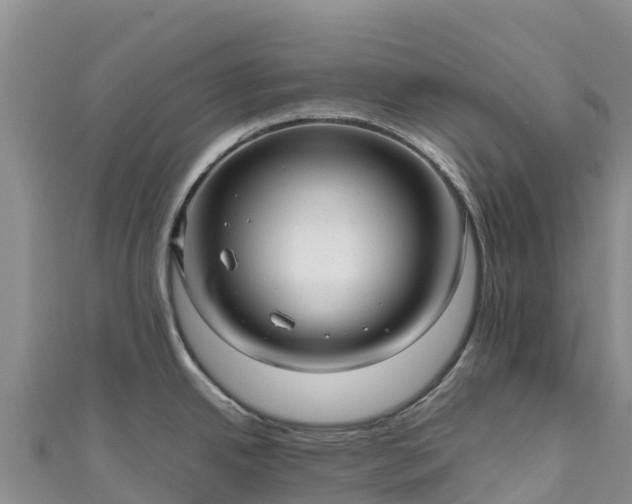 X0000111191342200907081248