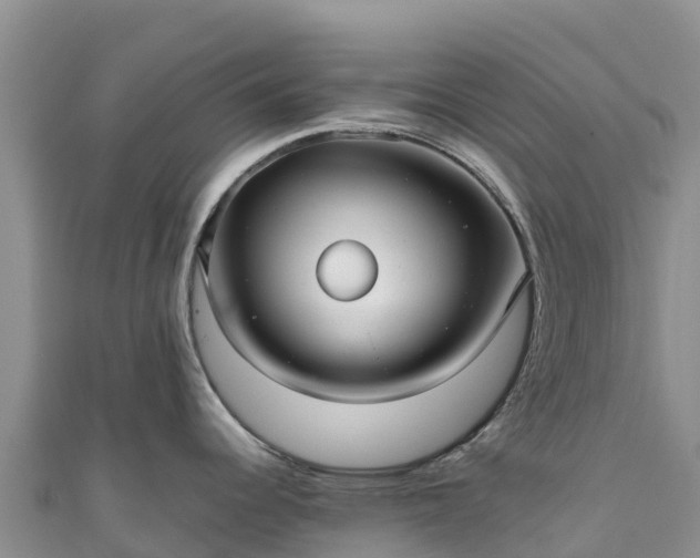 X0000111191344200907081248