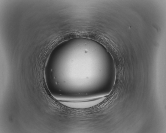 X0000111191345200907081248