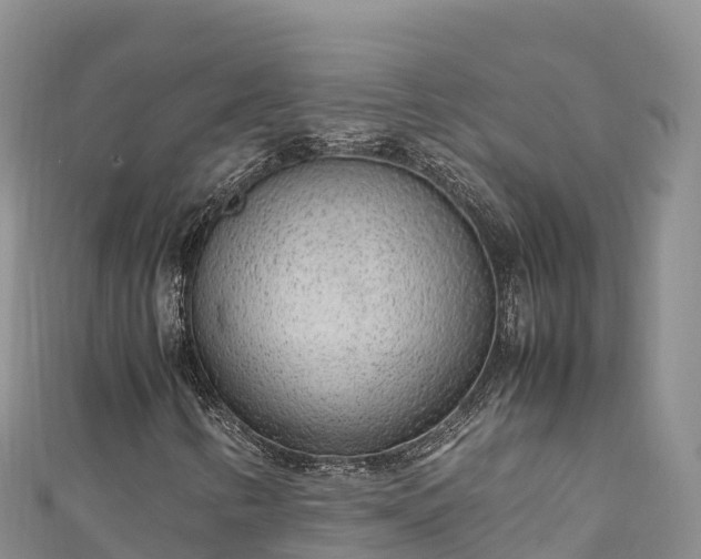 X0000111191346200907081248