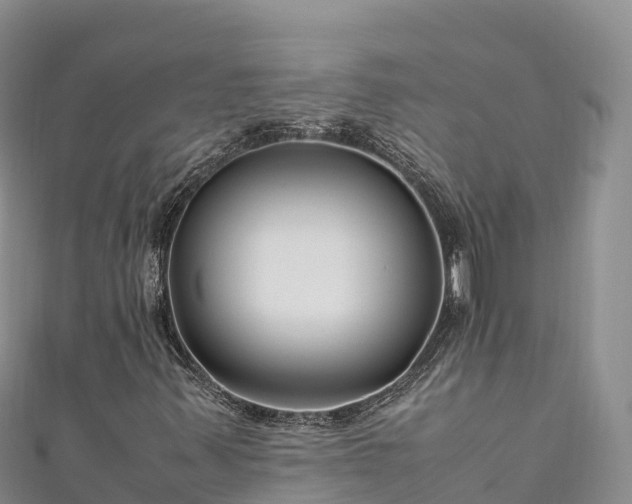 X0000111191347200907081248