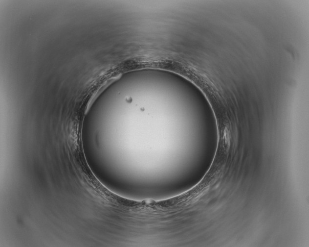 X0000111191348200907081248