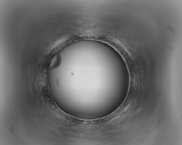 X0000111191350200907081247