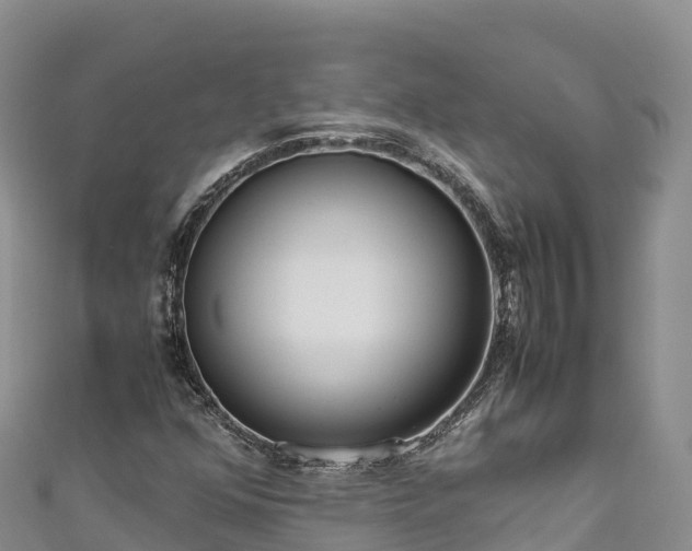 X0000111191352200907081247