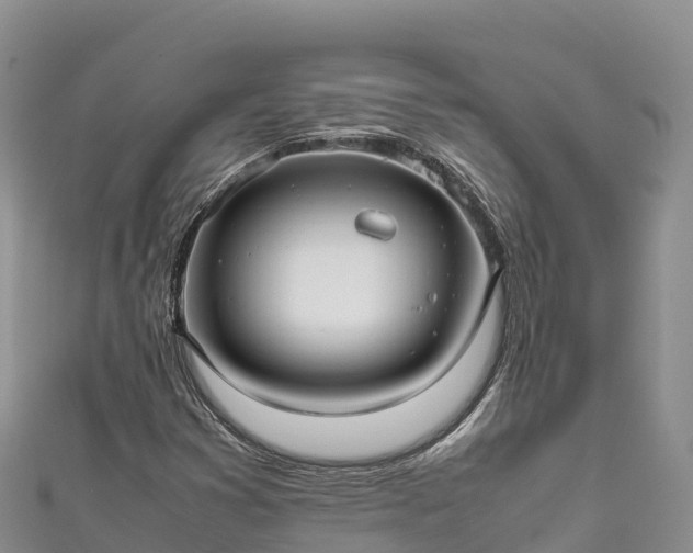 X0000111191353200907081247