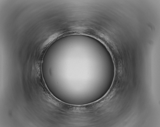 X0000111191354200907081247