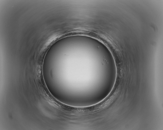 X0000111191355200907081247