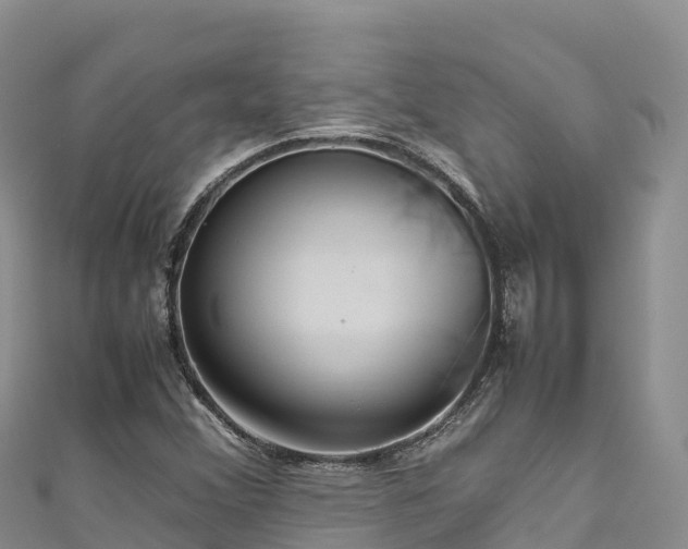 X0000111191356200907081247