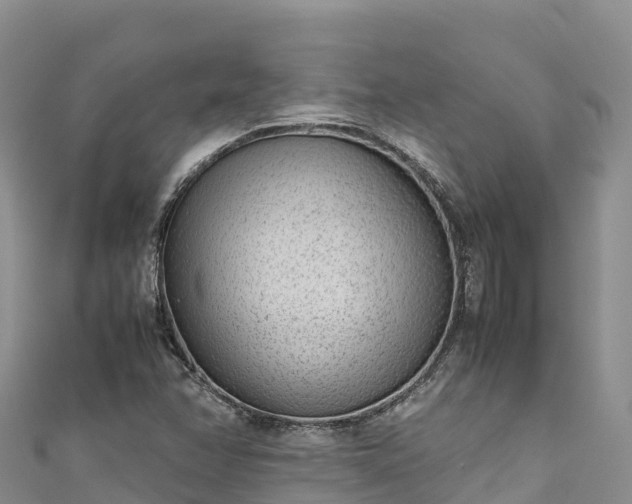 X0000111191358200907081247