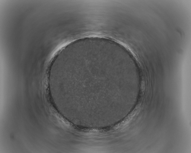 X0000111191359200907081247